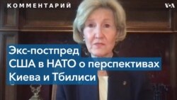 «Принцип открытых дверей продолжает действовать»: каковы перспективы вступления Грузии и Украины в НАТО