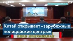 Китайские полицейские центры на пяти континентах: чем они занимаются 