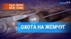 Как добыть жемчуг своими руками в центре Нью-Йорка