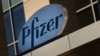 BioNTech и Pfizer начинают тестировать свою вакцину в Германии 