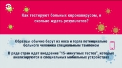 Как тестируют больных коронавирусом и как долго ждать результата теста?